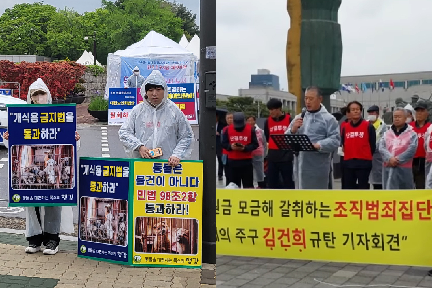 [폴앤톡] 김건희 여사가 쏘아 올린 개식용 금지 논란