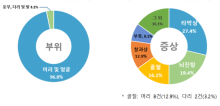소비자위해감시시스템(CISS)에 접수된 아기띠 관련 추락사고 위해부위와 위해증상 자료(그래프=한국소비자원)